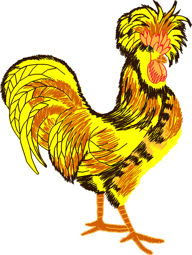 Chickens & Roosters 1 (4)