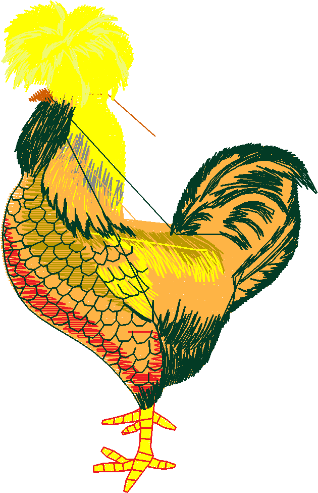 Chickens & Roosters 1 (7)