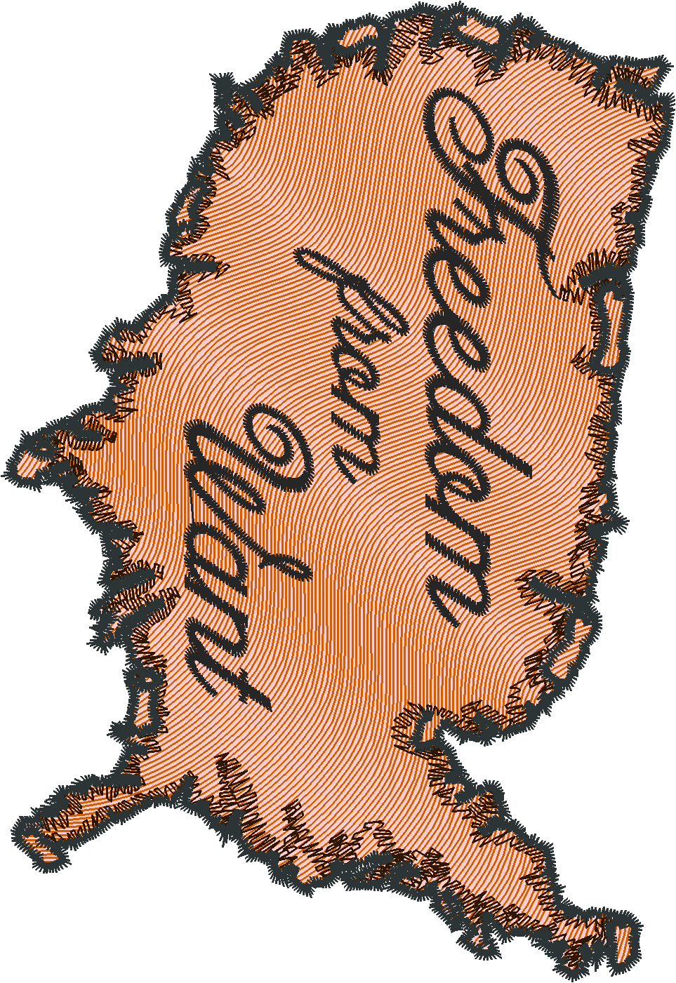 Nz123