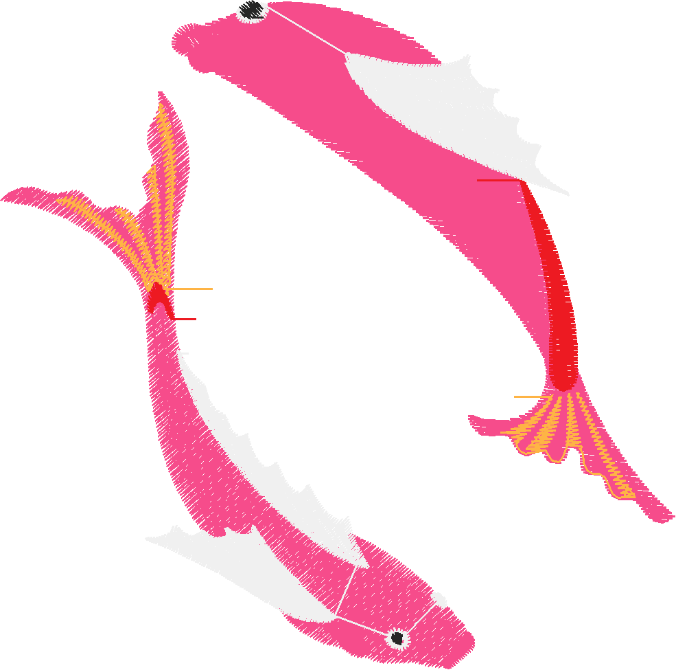 Koi02