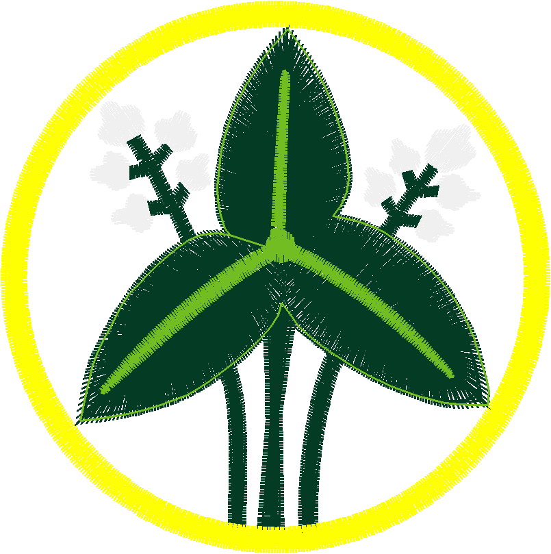 Des02 20