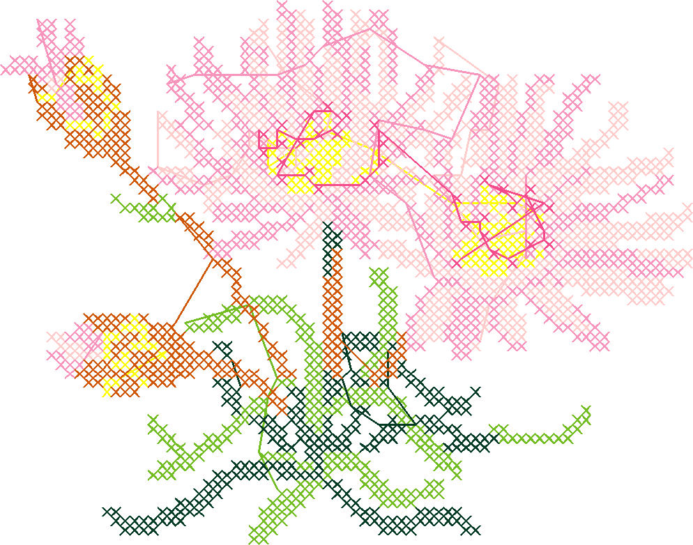 Bitterrot