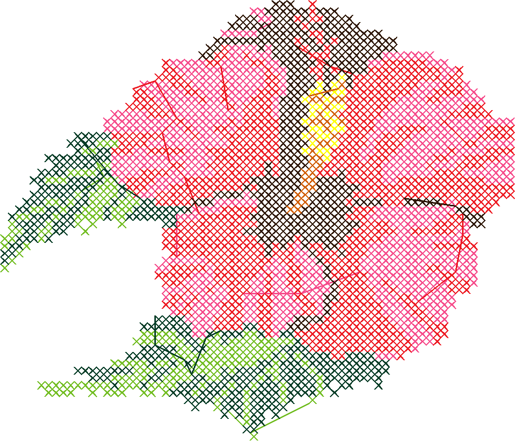 Hibiscus