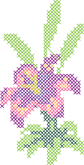 Lily