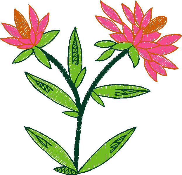 84704