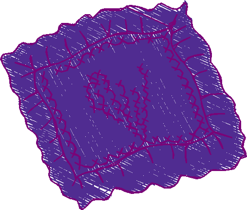 Ad1172 019