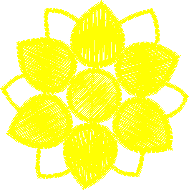 Bloom