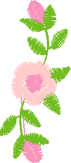 Des48203