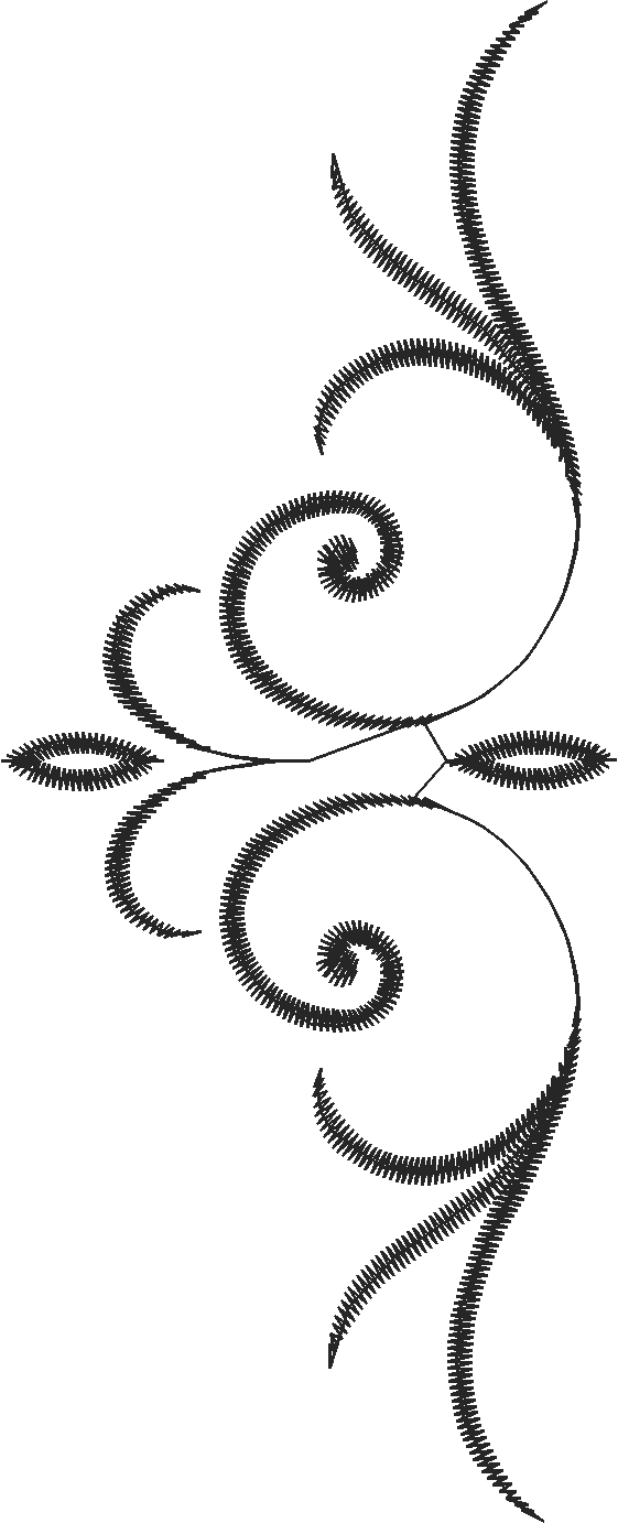 Qhl04886