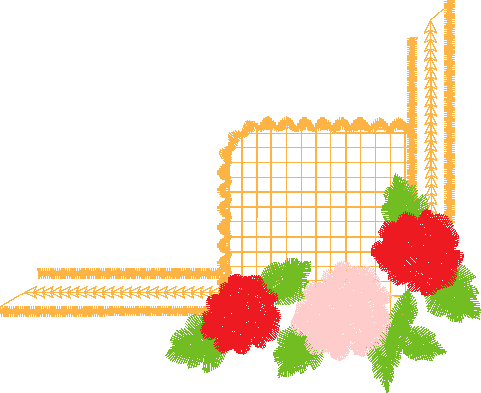 Rose A15
