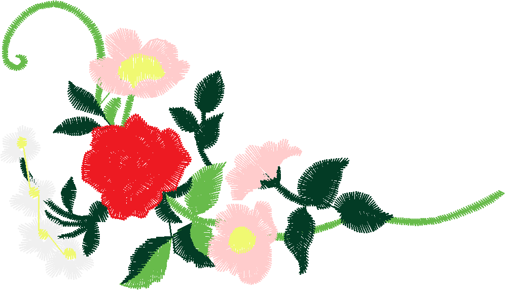 Rose A20