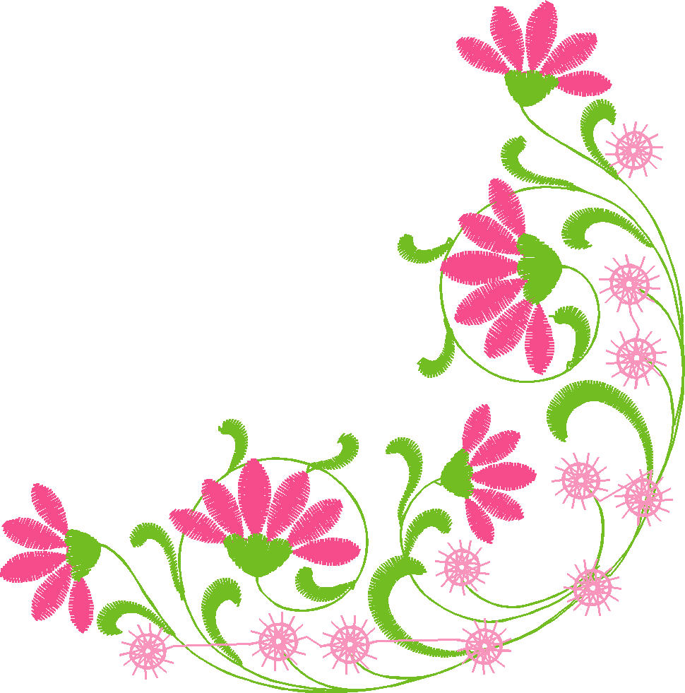 Ww017qudaisy