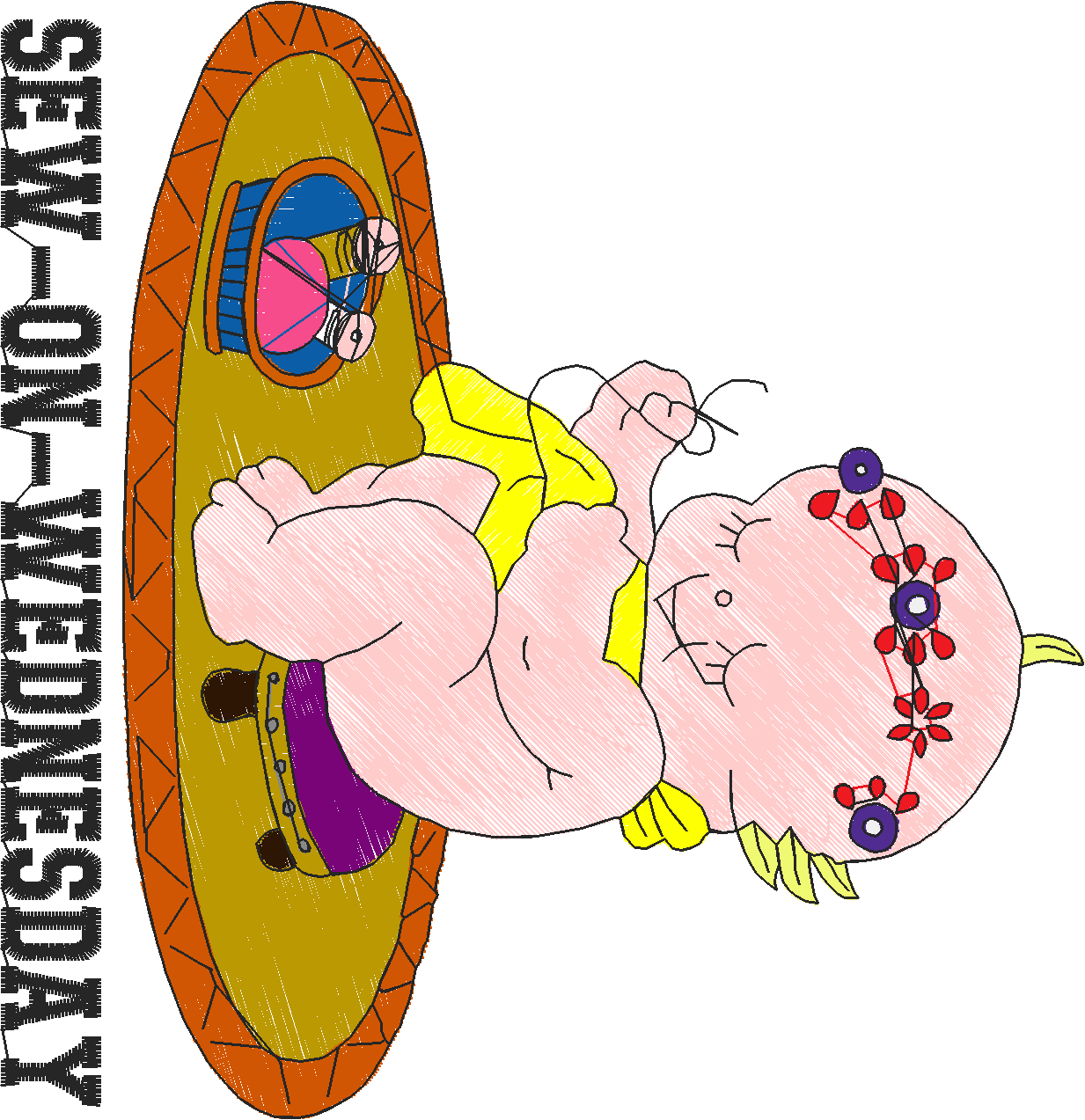 Days Of The Week   Babies  (7)