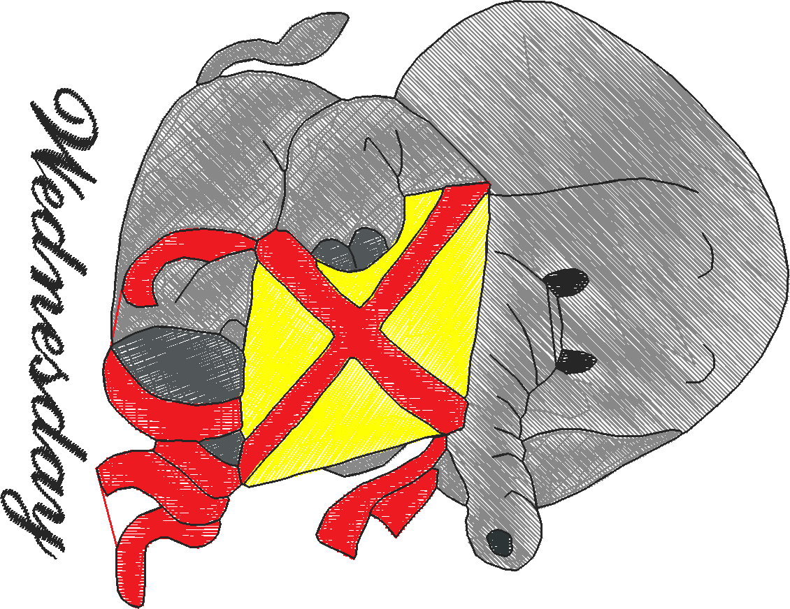 Days Of The Week   Elephants  (3)