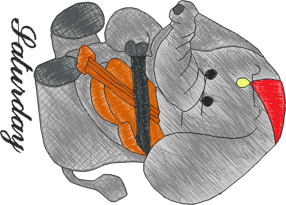 Days Of The Week   Elephants  (6)