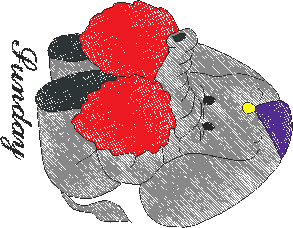 Days Of The Week   Elephants  (7)