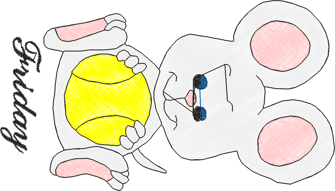 Days Of The Week   Mice  (1)