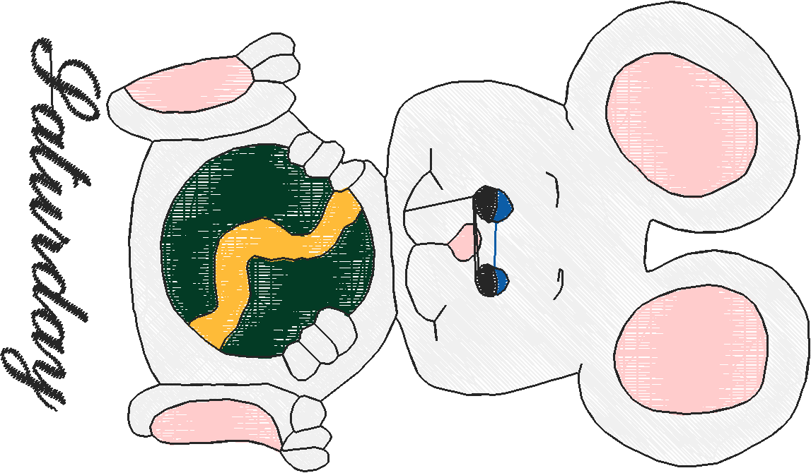 Days Of The Week   Mice  (3)