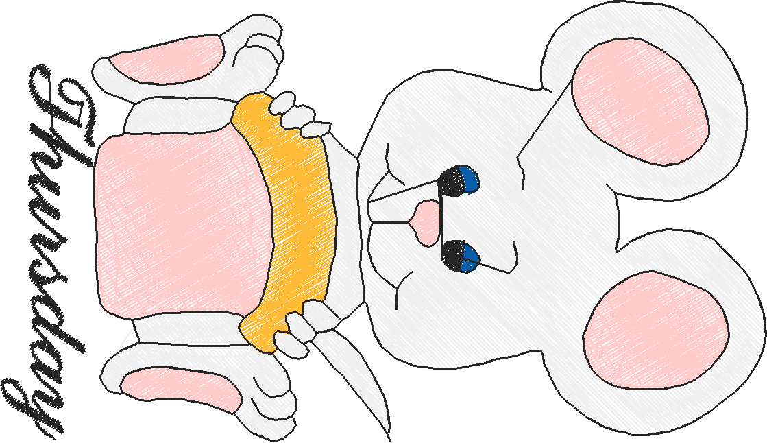 Days Of The Week   Mice  (5)