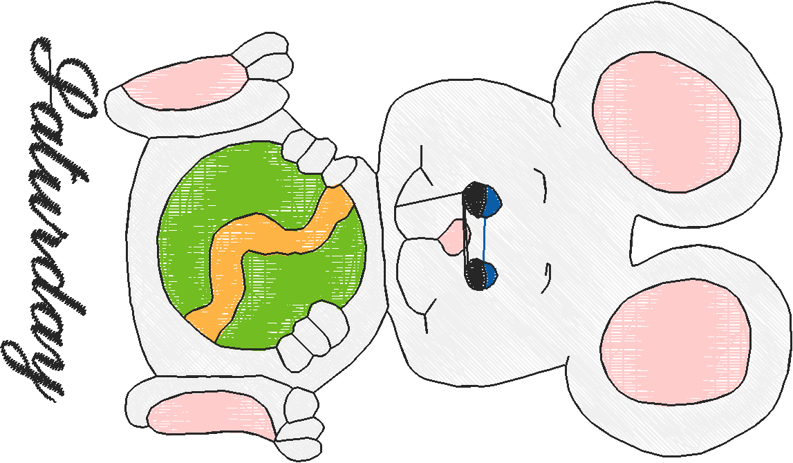 Days Of The Week   Mouse  (3)
