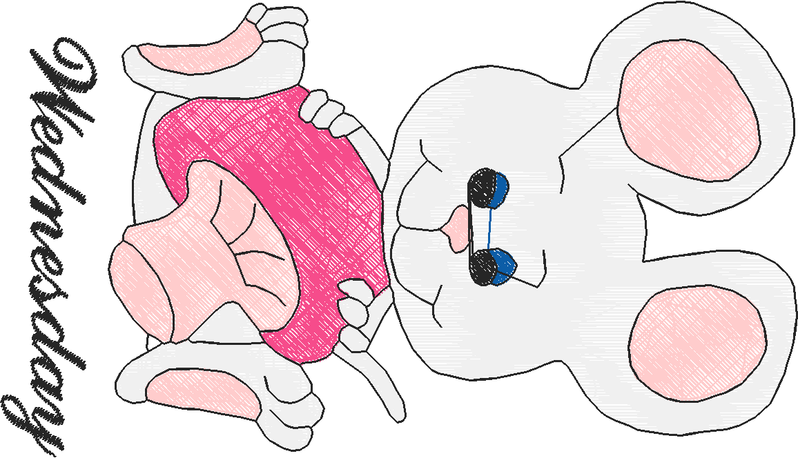 Days Of The Week   Mouse  (7)