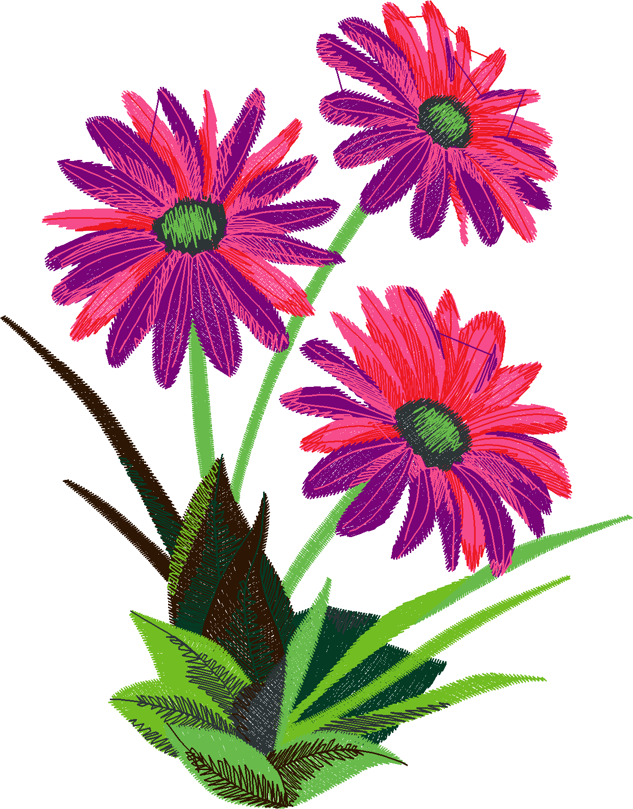 Definately Daisies