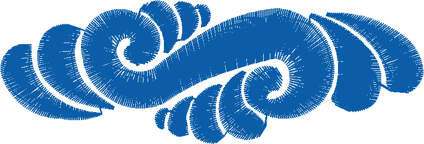 Nv343