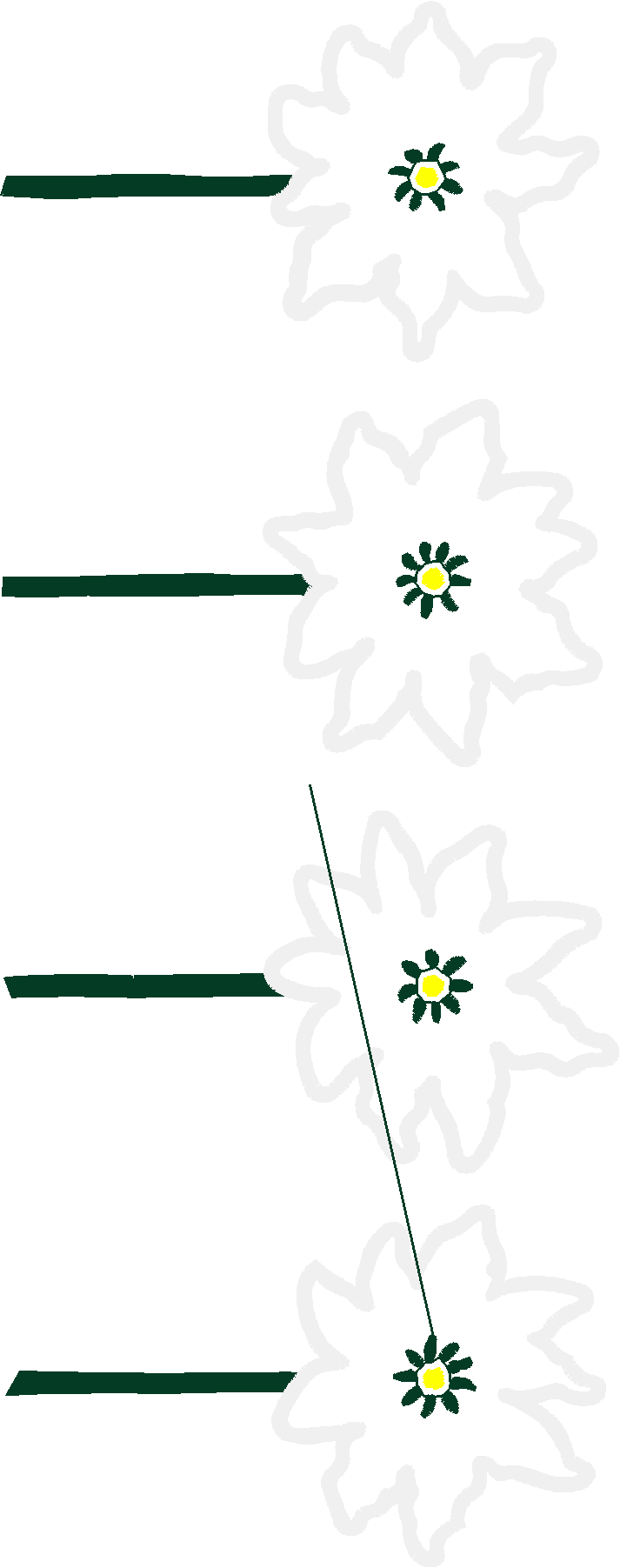 Dimensional Decorations 1  (12)