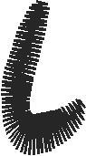 Lower l