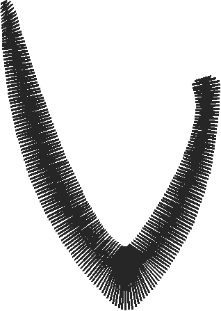 Upper v