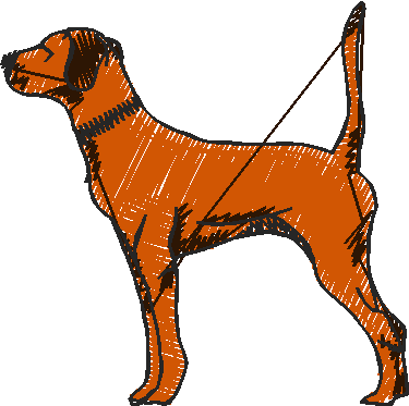 Dogs collection