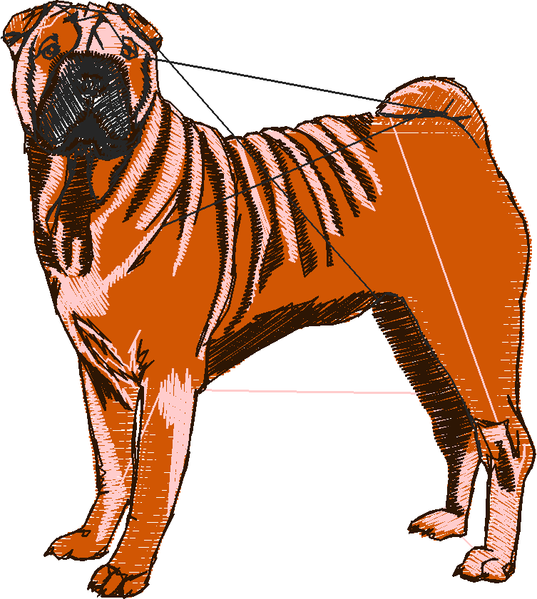 Dogs 1  (10)