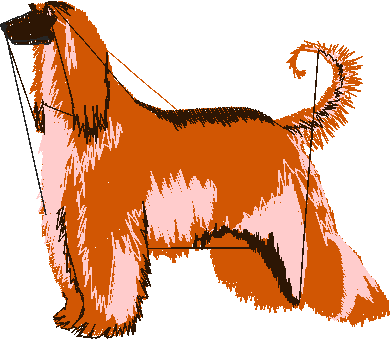 Dogs 1  (2)