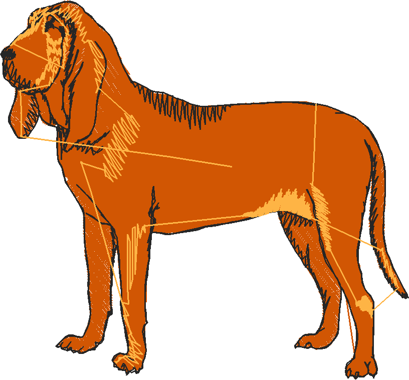 Dogs 1  (24)