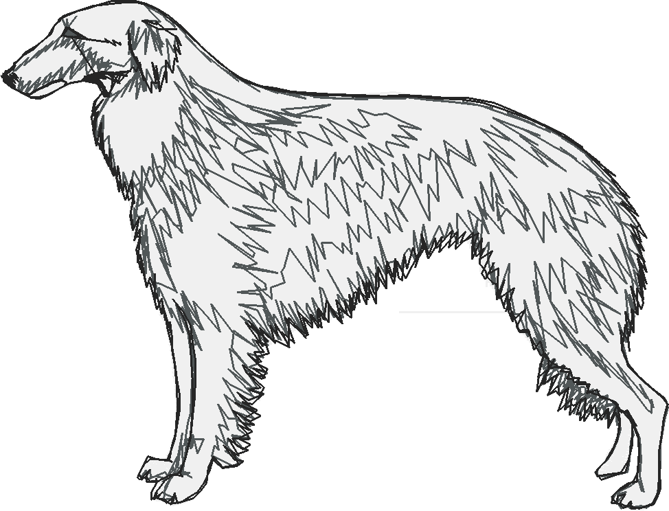 Dogs 1  (31)