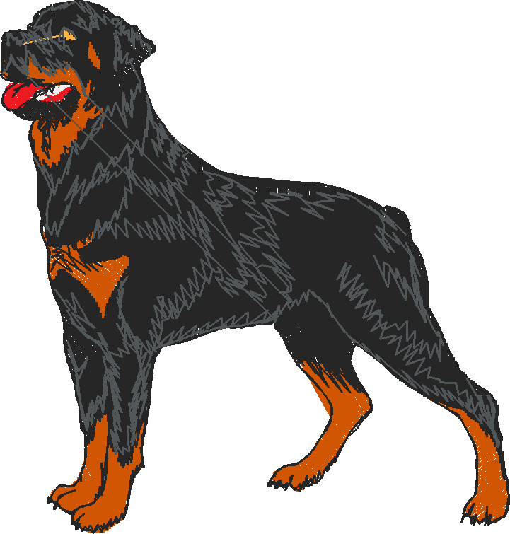 Dogs 1  (32)