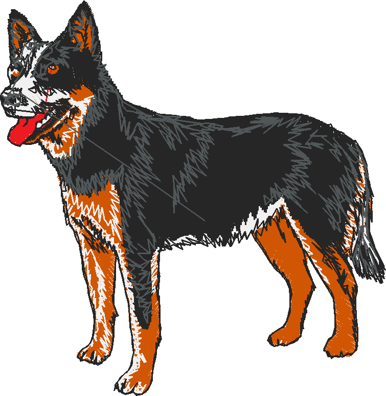 Dogs 1  (35)