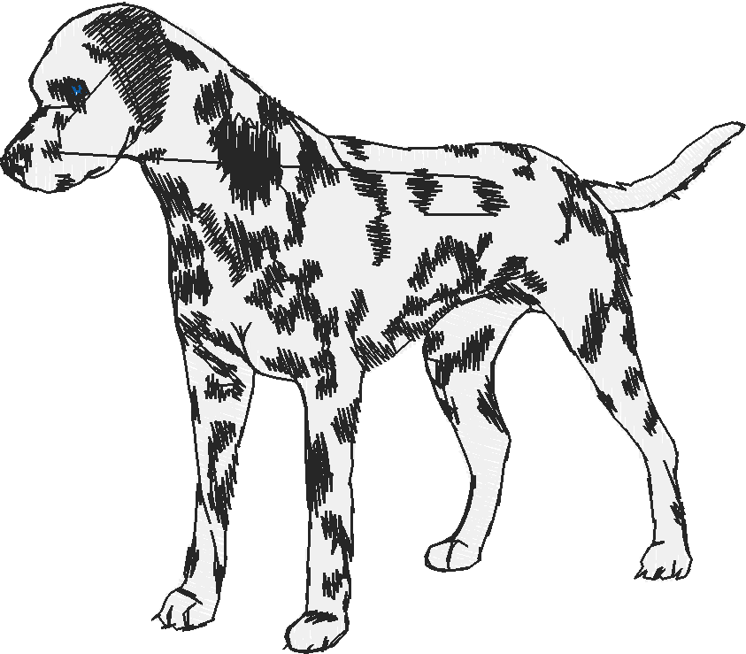 Dogs 1  (7)