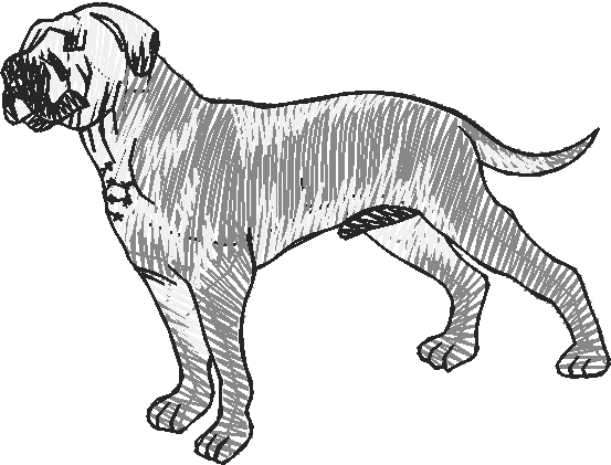 Dogs 13  (1)