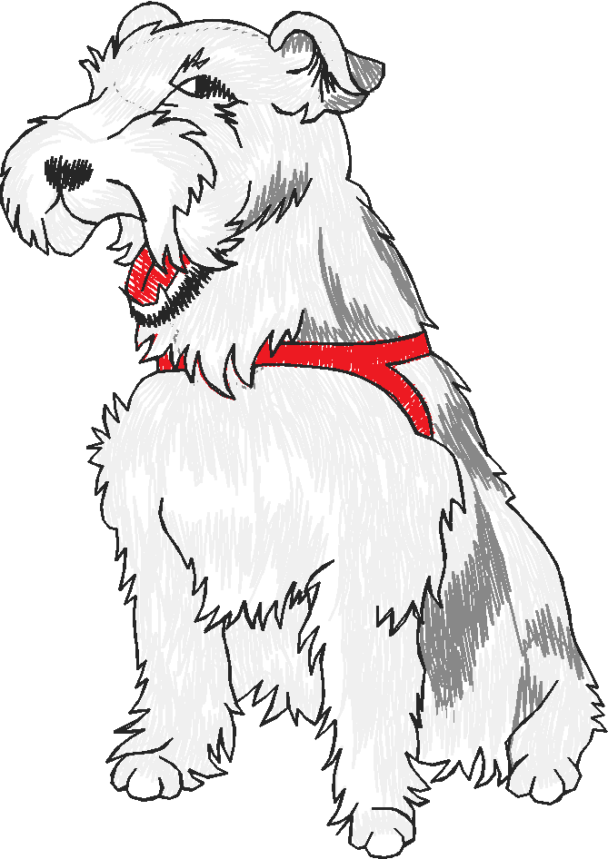 Dogs 13  (12)