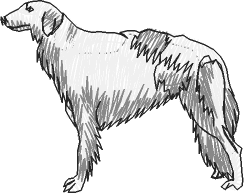 Dogs 13  (13)