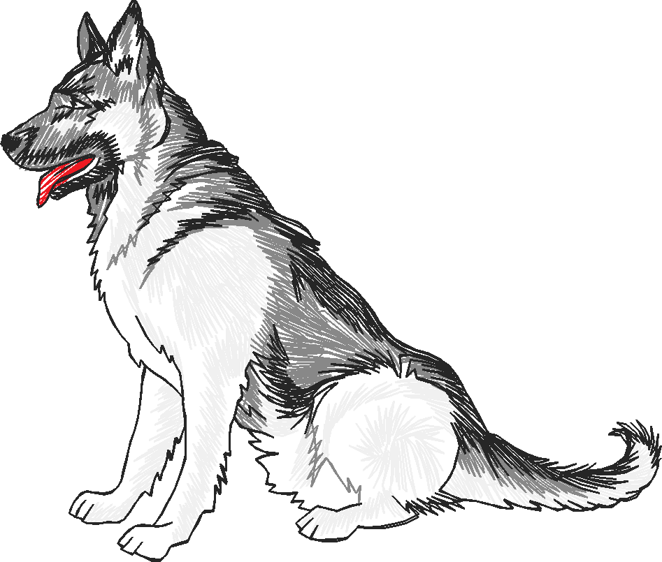 Dogs 13  (16)