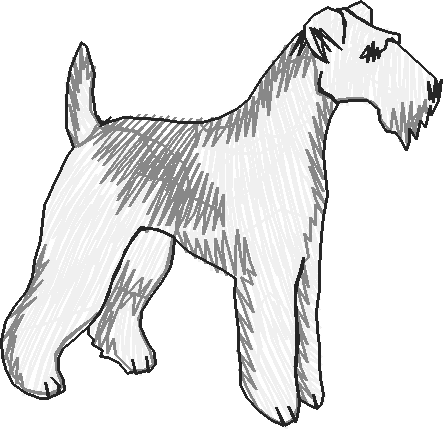 Dogs 13  (22)