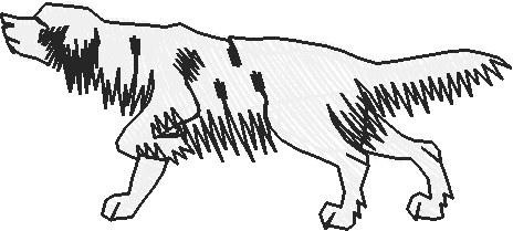 Dogs 13  (6)