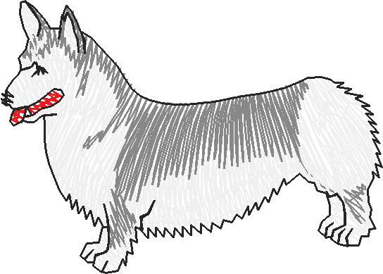 Dogs 13  (7)