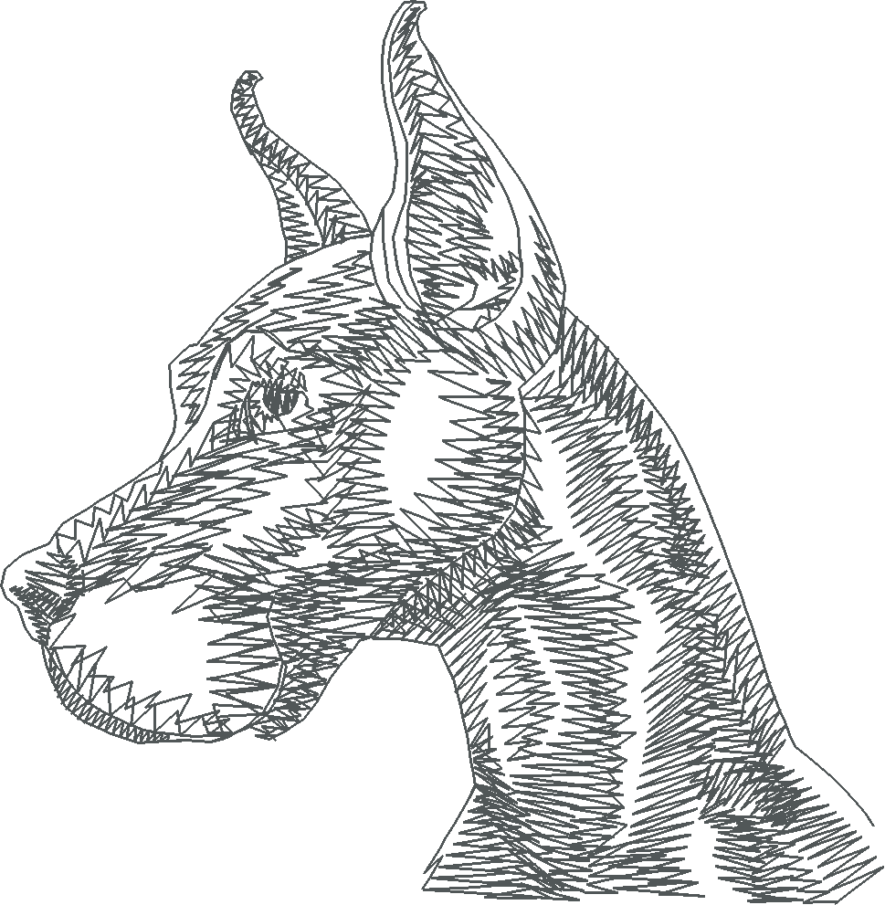Dogs 14  (1)