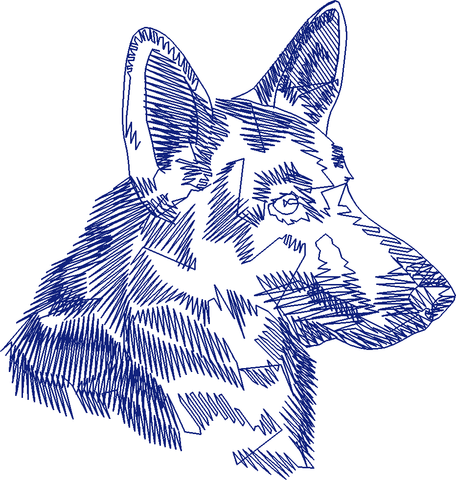 Dogs 14  (10)