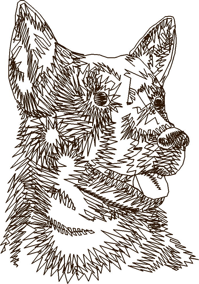 Dogs 14  (11)