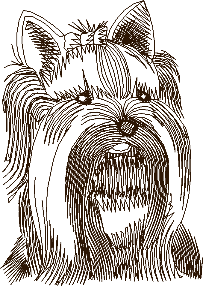Dogs 14  (18)