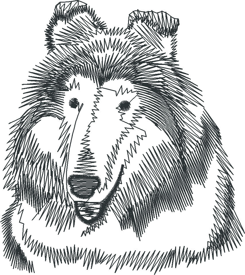 Dogs 14  (5)